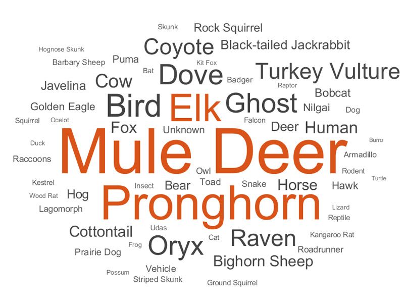 Figure 3. Word cloud showing relative distribution of species.