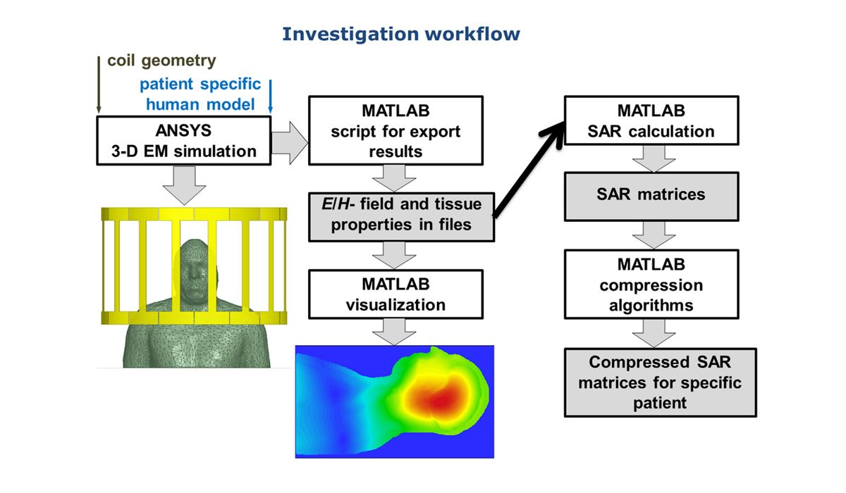 MATLAB と人体の仮想モデルを使用した比吸収率の計算ワークフロー。