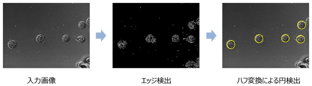 断捨離中ページ 断捨離中 ④ 断捨離中〜 整頓中です。 ZX] I thought it was a