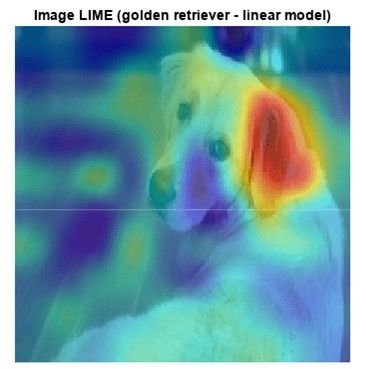 MATLABを使用した画像処理および可視化