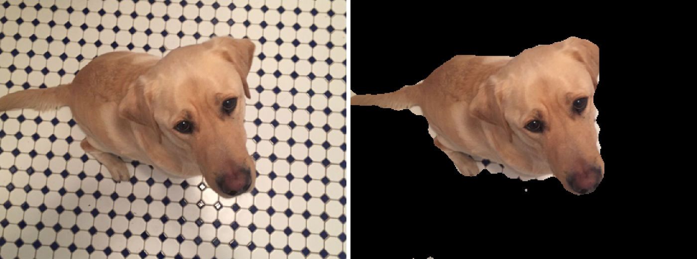 セグメンテーション(テクスチャ情報を使って犬の領域を抽出)