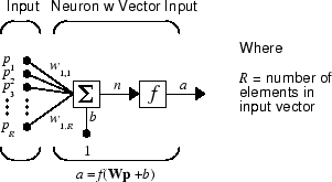 A neuron with vector input. The neuron receives input vector p and calculates a scalar output a.