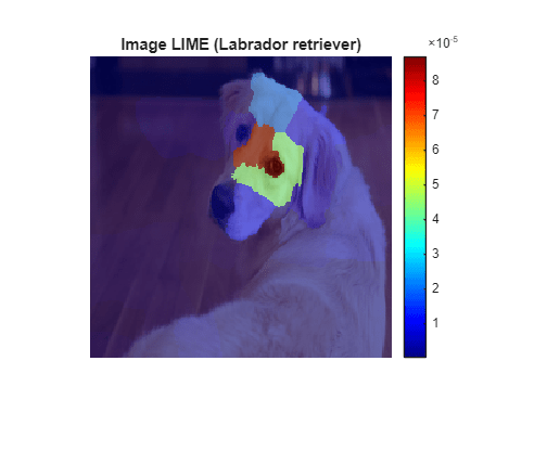 Figure contains an axes object. The hidden axes object with title Image LIME (Labrador retriever) contains 2 objects of type image.