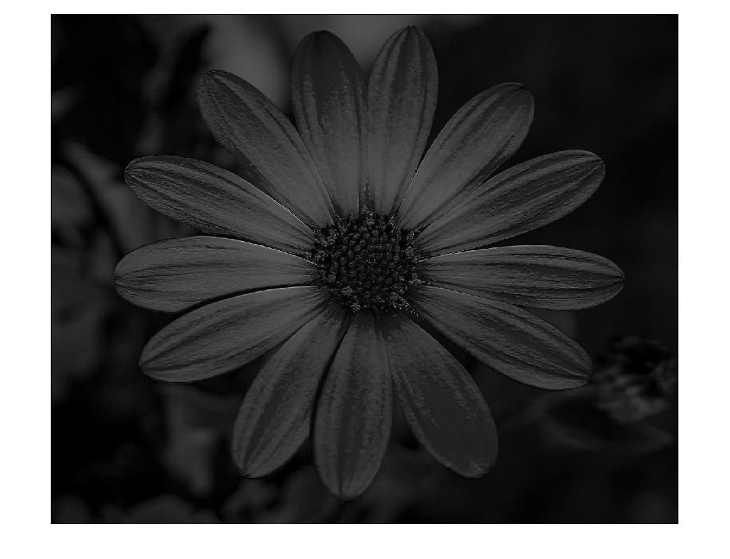 Figure contains an axes object. The hidden axes object contains an object of type image.