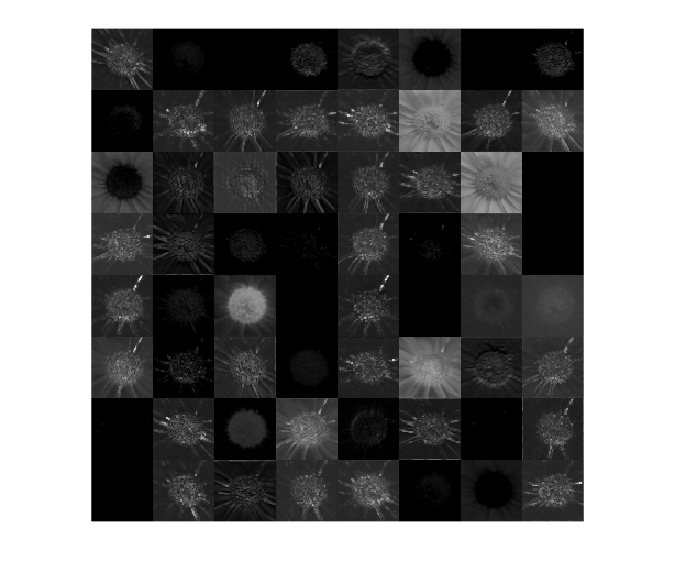 Running Convolution-Only Networks by Using FPGA Deployment