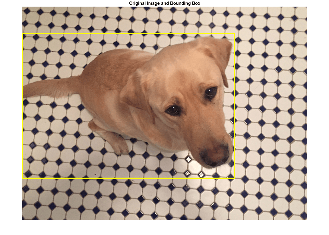 Figure contains an axes object. The axes object with title Original Image and Bounding Box contains an object of type image.