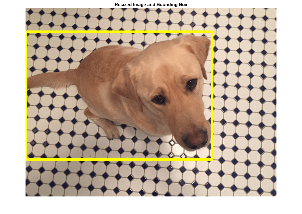 Figure contains an axes object. The axes object with title Resized Image and Bounding Box contains an object of type image.