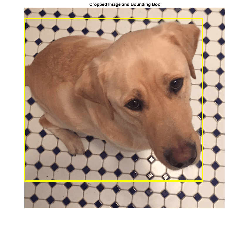 Figure contains an axes object. The axes object with title Cropped Image and Bounding Box contains an object of type image.