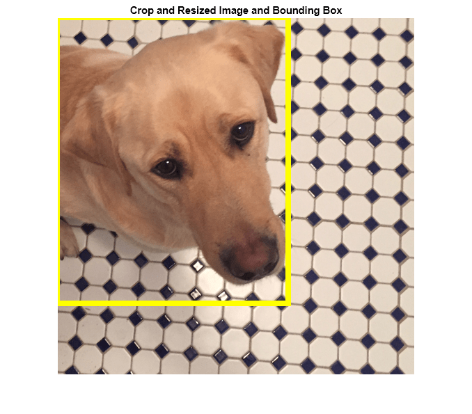 Figure contains an axes object. The axes object with title Crop and Resized Image and Bounding Box contains an object of type image.