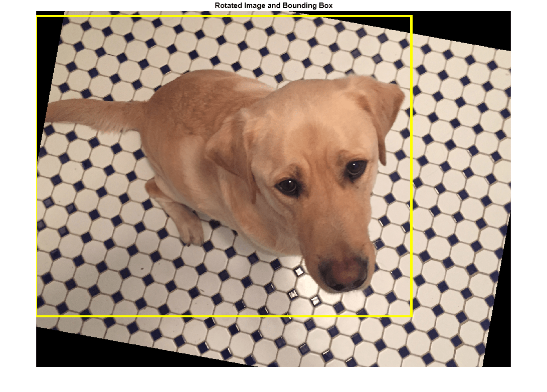 Figure contains an axes object. The axes object with title Rotated Image and Bounding Box contains an object of type image.