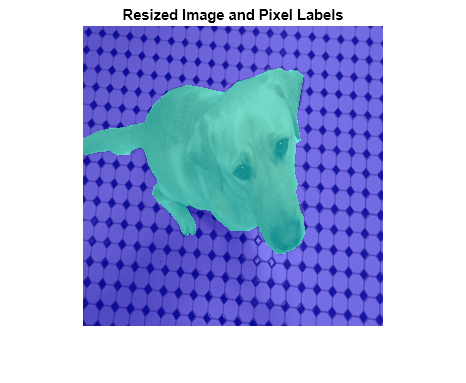 Figure contains an axes object. The axes object with title Resized Image and Pixel Labels contains an object of type image.