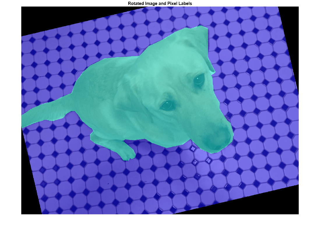 Figure contains an axes object. The axes object with title Rotated Image and Pixel Labels contains an object of type image.