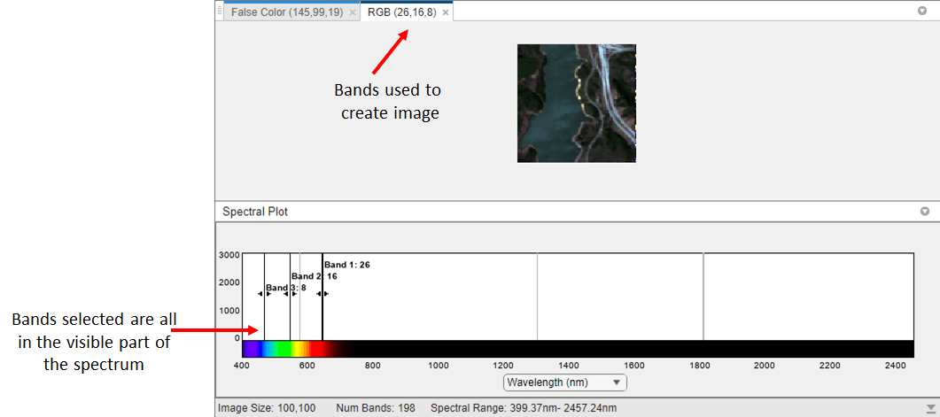 Hyperspectral Viewer CIR View