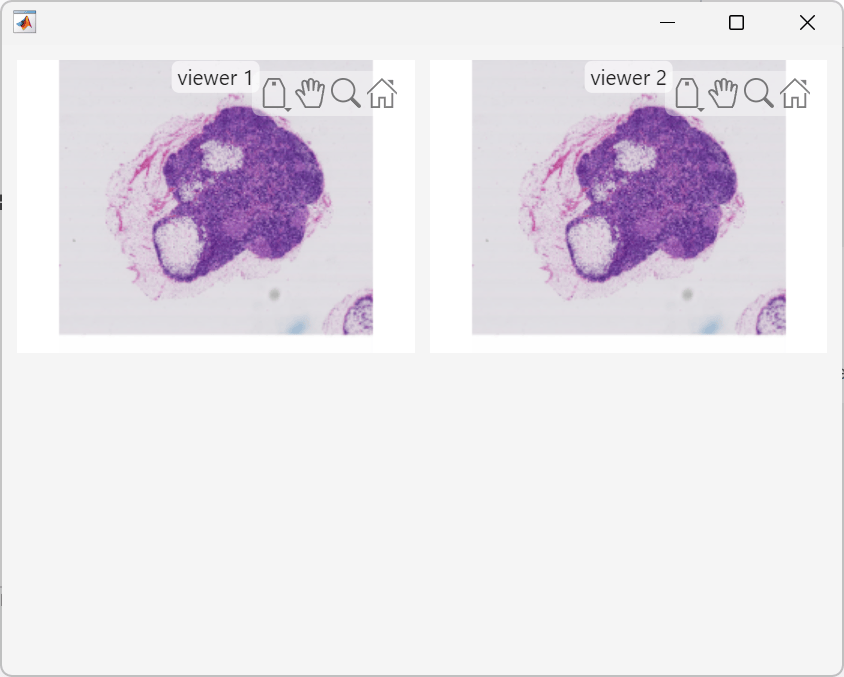 Figure showing uigridlayout with side-by-side viewers displaying the same microscopy images with titles "viewer 1" and "viewer 2"