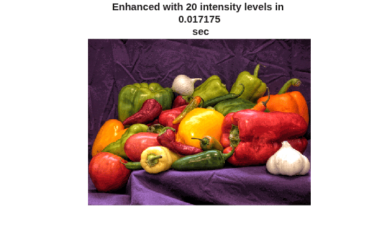 Figure contains an axes object. The hidden axes object with title Enhanced with 20 intensity levels in 0.017175 sec contains an object of type image.