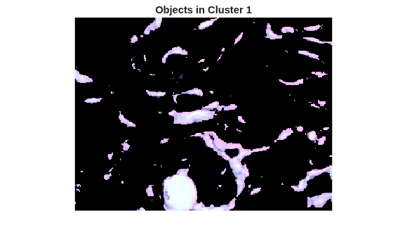 Figure contains an axes object. The hidden axes object with title Objects in Cluster 1 contains an object of type image.