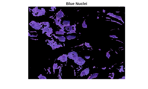 Figure contains an axes object. The hidden axes object with title Blue Nuclei contains an object of type image.