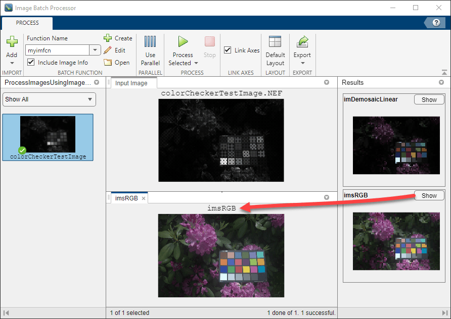 Click Show to view the final image in the Results Panel