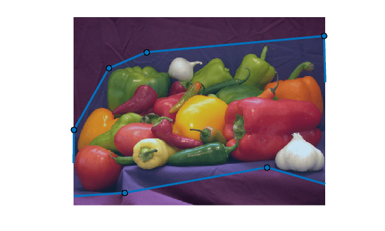 Figure contains an axes object. The hidden axes object contains 2 objects of type image, images.roi.polygon.