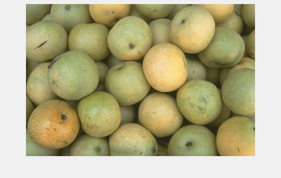 Figure Pears contains an axes object and another object of type uipanel. The axes object contains an object of type image.