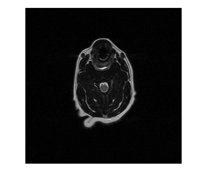 DICOM イメージを含むイメージ データストアの作成