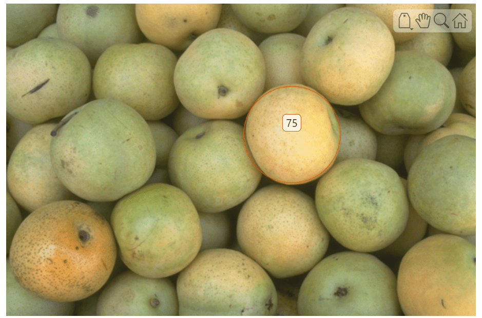Pears image with one orange circle ROI with a numeric label around a pear