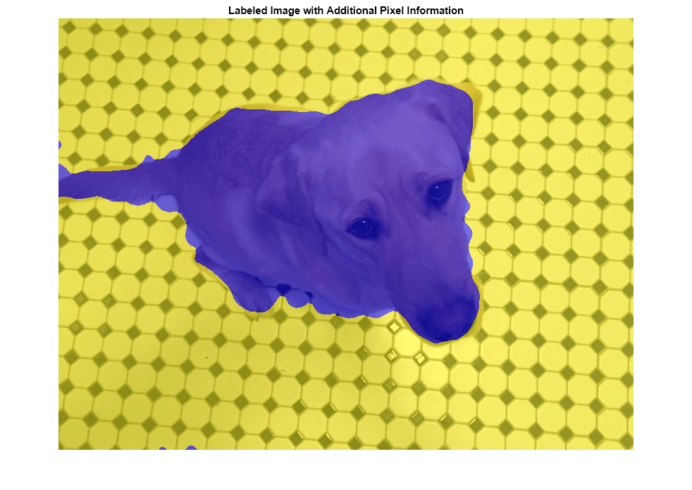 Figure contains an axes object. The axes object with title Labeled Image with Additional Pixel Information contains an object of type image.
