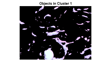 Figure contains an axes object. The axes object with title Objects in Cluster 1 contains an object of type image.