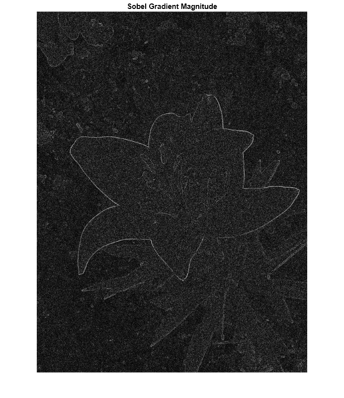 Figure contains an axes object. The axes object with title Sobel Gradient Magnitude contains an object of type image.