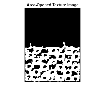 Figure contains an axes object. The axes object with title Area-Opened Texture Image contains an object of type image.