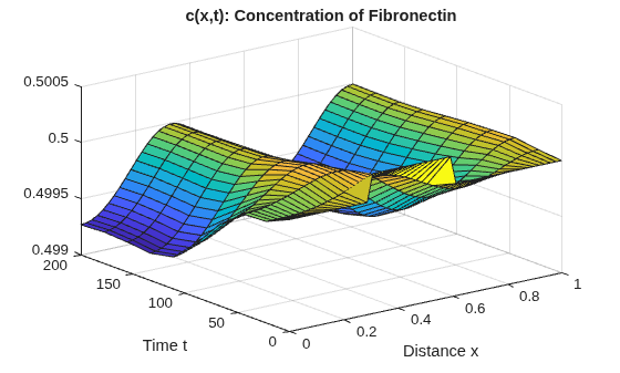 Figure contains an axes object. The axes object with title c(x,t): Concentration of Fibronectin, xlabel Distance x, ylabel Time t contains an object of type surface.