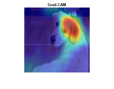 Figure contains an axes object. The axes object with title Grad-CAM contains 2 objects of type image.