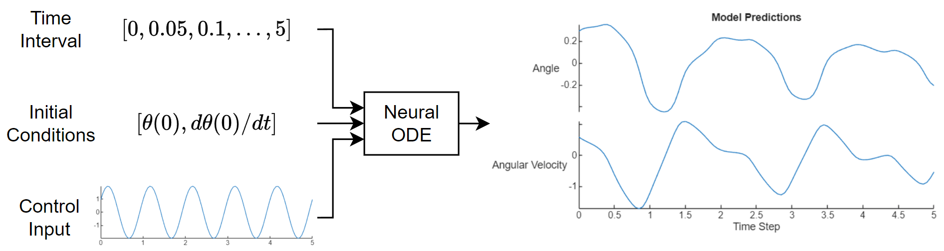 Diagram showing flow of data through the neural ODE. The neural ODE has three inputs: The time interval with values [0,0.05,0.1,...,5], the initial conditions with values [theta(0), d theta(0)/dt], and control input represented by a sine wave. The output are two curves labeled "Angle" and "Angular Velocity".