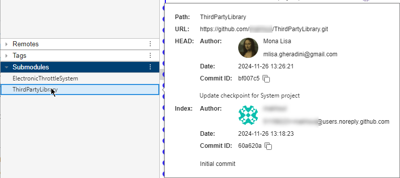 Popout lists the path, URL, HEAD and Index of the submodule.