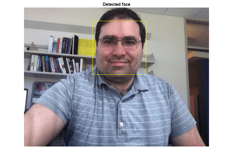 Figure contains an axes object. The axes object with title Detected face contains an object of type image.