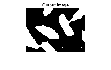 Figure contains an axes object. The hidden axes object with title Output Image contains an object of type image.