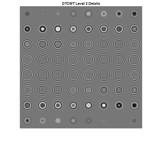 Figure contains an axes object. The axes object with title DTCWT Level 2 Details contains an object of type image.