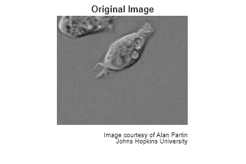 Figure contains an axes object. The hidden axes object with title Original Image contains 3 objects of type image, text.