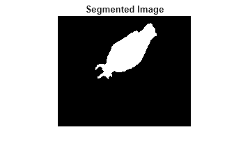 Figure contains an axes object. The hidden axes object with title Segmented Image contains an object of type image.