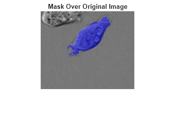 Figure contains an axes object. The hidden axes object with title Mask Over Original Image contains an object of type image.