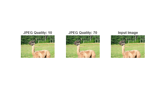 Figure contains 3 axes objects. Hidden axes object 1 with title JPEG Quality: 10 contains an object of type image. Hidden axes object 2 with title JPEG Quality: 70 contains an object of type image. Hidden axes object 3 with title Input Image contains an object of type image.