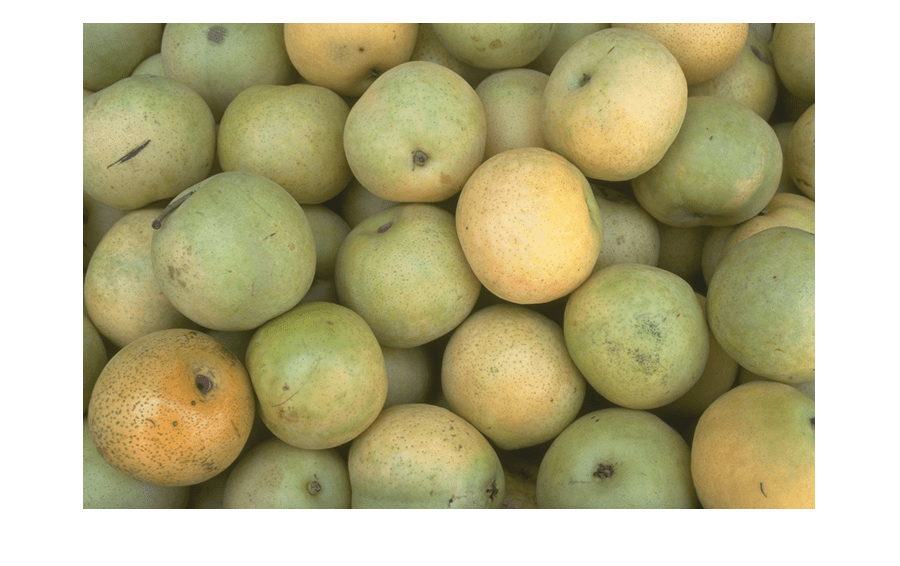 Figure contains an axes object. The hidden axes object contains an object of type image.