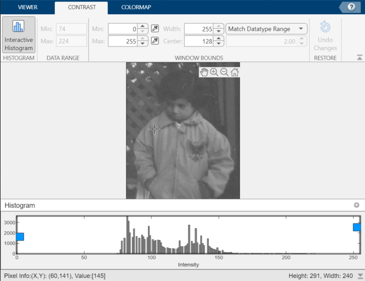 Grayscale image with poor contrast in the Image Viewer. The window bounds are wider than the histogram of pixel values.