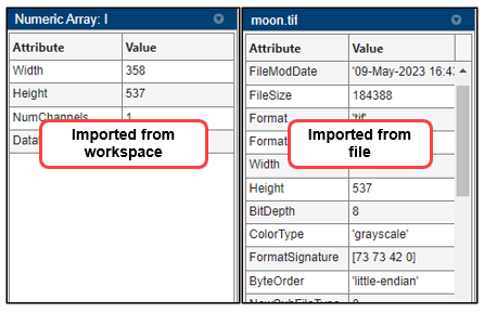 Image metadata pane for an image imported from the workspace versus from a file