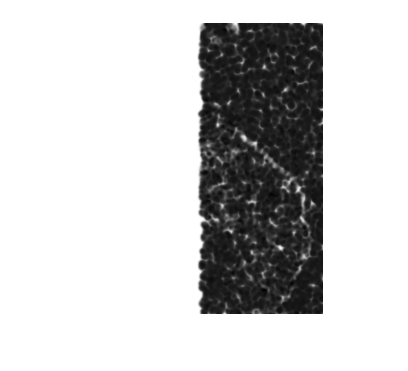 Figure contains an axes object. The hidden axes object contains an object of type image.