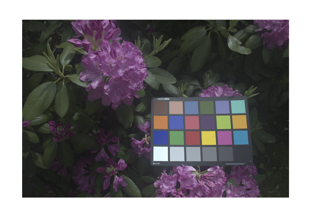 Figure contains an axes object. The hidden axes object contains an object of type image.