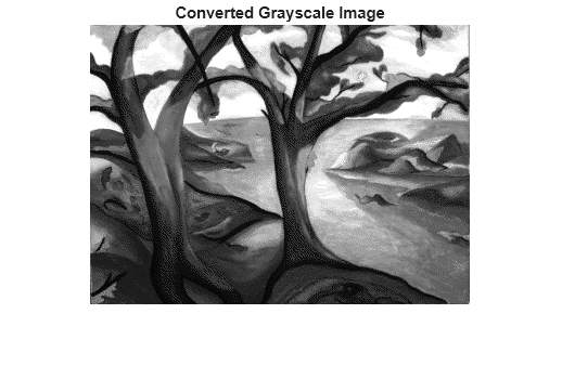 Figure contains an axes object. The hidden axes object with title Converted Grayscale Image contains an object of type image.