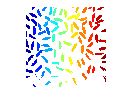 Figure contains an axes object. The hidden axes object contains an object of type image.