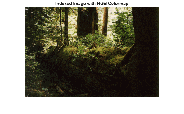 Figure contains an axes object. The hidden axes object with title Indexed Image with RGB Colormap contains an object of type image.