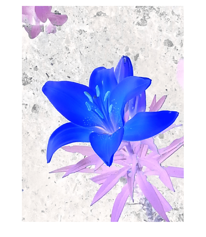 Figure contains an axes object. The hidden axes object contains an object of type image.